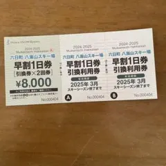 六日町八海山スキー場 リフト1日券 無料ご招待券 2枚セット 000000002490_8d5kMO4.jpg
