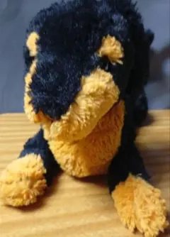 サンレモン　ひざわんこ ミニチュア ダックスフンド BK ぬいぐるみ37㎝