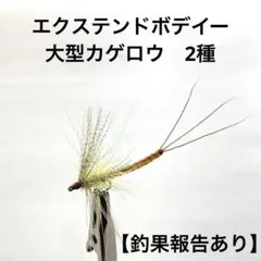 Item thumbnail for item 51a02a1b-a4ca-414b-adf8-ca788146276f