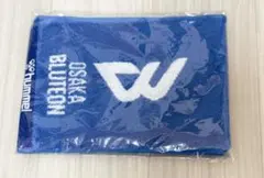 2025年最新】大阪ブルテオン タオルの人気アイテム - メルカリ