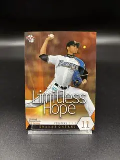 大谷翔平日ハム LEGENDS HOPE - メルカリ