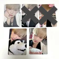 &TEAM 雪明かり HARUA ハルア トレカセット④