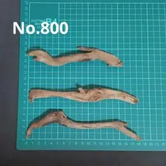新品未使用　天然ミニ流木　No.800　 アクアリウム　爬虫類　両生類のサムネイル