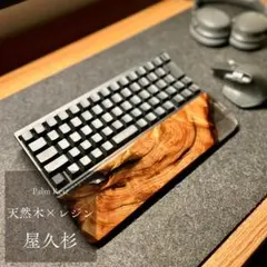 Item thumbnail for item 0d1b343c-3c18-4aac-baad-db7ce1bfd7ae