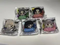 ルセラフィム おなまえアクリルバッジ コンプリートセット