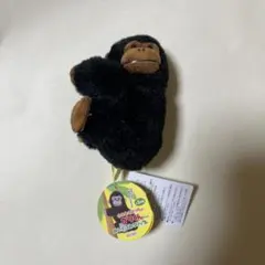 Item thumbnail for item 8733a268-f640-4a4e-bc56-3549e3abc1f5