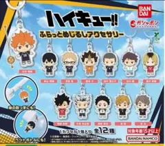 ハイキュー　ふらっとめじるしアクセサリー　コンプ　全12種　新品　ガチャ