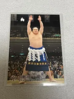 Item thumbnail for item ad8e7ad0-1e47-4ffa-8b6a-61fec8c39a91