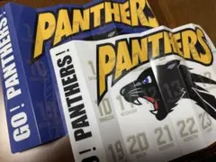 PANTHERS ハリセン2つセット