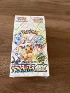 2025年最新】シュリンク テラスタルフェスの人気アイテム - メルカリ