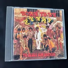 バブルガム・ブラザーズ BORN TO BE FUNKY