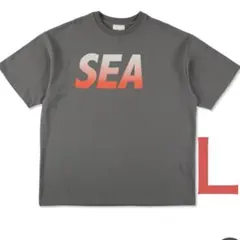 WIND AND SEA S/S Tee グレー