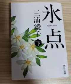 氷点 下