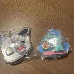 う*な様 サンリオ　パッケージチャーム　ポチャッコ　ハンギョドン　2点セット