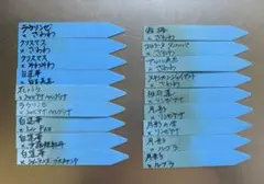 2026年最新】おらいさん苗の人気アイテム - メルカリ