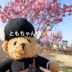 【ともちゃん様専用】ヒーリングっどプリキュア✨バスボム✨