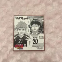 ハイキュー ジャンプフェア 2023 アニメイト 色紙 特典 複製 影山 日向
