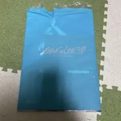 エヴァンゲリオン 3.0 YOU CAN (NOT) REDO