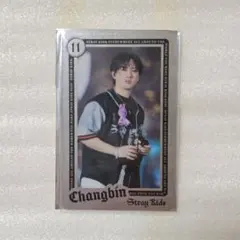 Stray Kids チャンビン dominATE エコパ ライブフォトカ