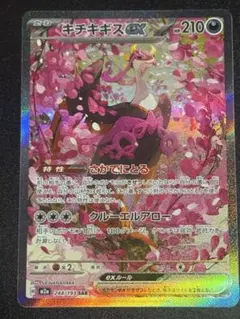 2026年最新】キチキギスex sarの人気アイテム - メルカリ