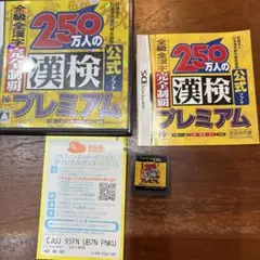 250万人の公式漢検プレミアム DS