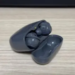 Bose QuietComfort Earbuds II