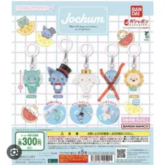 ジェオチャム　めじるしアクセサリー4種セット(マイくん除く)