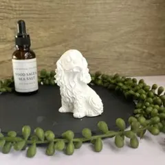 rodoreiya様 リクエスト 2点 まとめ商品