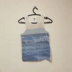 Item thumbnail for item 641fc1c7-2166-4312-b9b7-ca9553721bfe