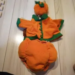 Disney Duffy　ハロウィンカボチャデザインコスチューム