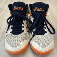 ダンクショット 23.5