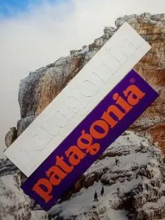 パタゴニア patagonia 白文字 カッティングステッカー オレンジロゴ