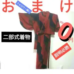 50の2 オマケ‼️　　二部式着物　⇒　フォロワー様限定