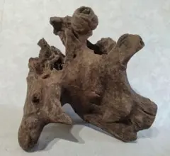 Item thumbnail for item 1ad90b12-7dd4-47d4-925c-e6ce04c250b7