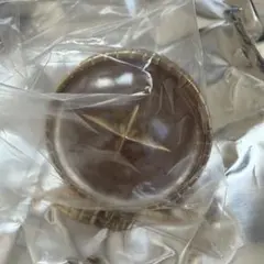 東雲絵名　リングライト　セカライ