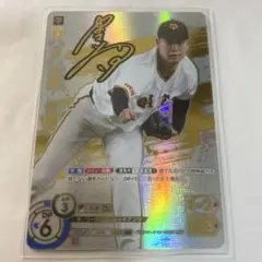 2025年最新】SSP ドリームオーダーの人気アイテム - メルカリ