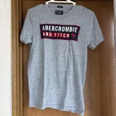 Abercrombie & Fitch ロゴTシャツ XS