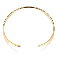 ネックレス チョーカー ゴールド サージカルステンレス オシャレ 大人気 新品