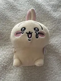 EXO チャニョル ぬいぐるみ キーリング 15cm - メルカリ