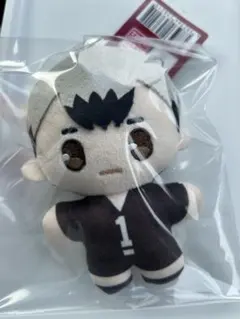 ハイキュー‼︎ ぬいぐるみキーホルダー 北信介 ダイソー