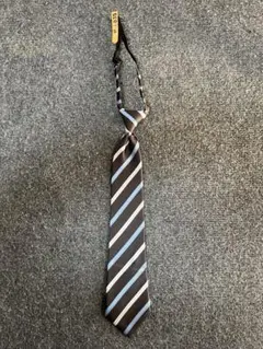 Item thumbnail for item 490c5a00-05f1-4284-bb53-9a889d1c2520