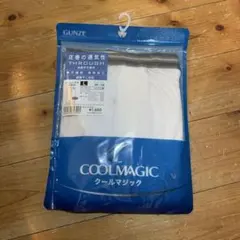 GUNZE COOLMAGIC ニーレングス 前あき L ホワイト