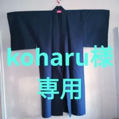 Item thumbnail for item ff46b7c2-2e53-4b49-8332-c16d5535e246