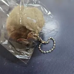 カナナプロジェクト　チャーム