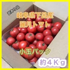 【規格外品】 小玉パック 農家直送 大玉トマト 麗月 4Kg 訳あり 飛騨トマトのサムネイル
