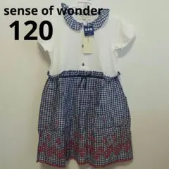 Item thumbnail for item 8ef962e7-3d29-4c1c-927e-614be575a184