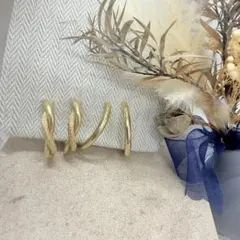 11.948【イヤリング】アクセサリー　ピアス変更可　フープ型