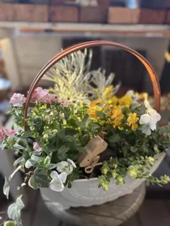 さんぴん茶様ご専用(*☻-☻*)