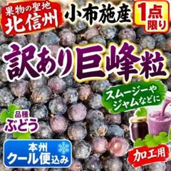 kn185山梨県産 甘〜い 朝採り 巨峰 箱込み1キロ ぶどう グレープ 新鮮