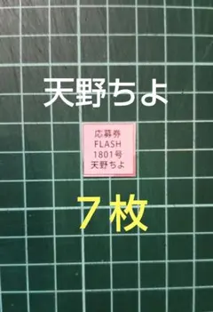 へげもっく様 リクエスト 2点 まとめ商品